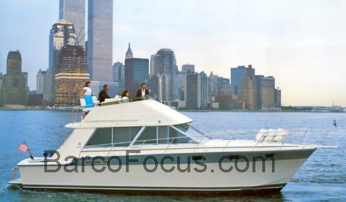 Silverton 40 Convertible ficha tecnica